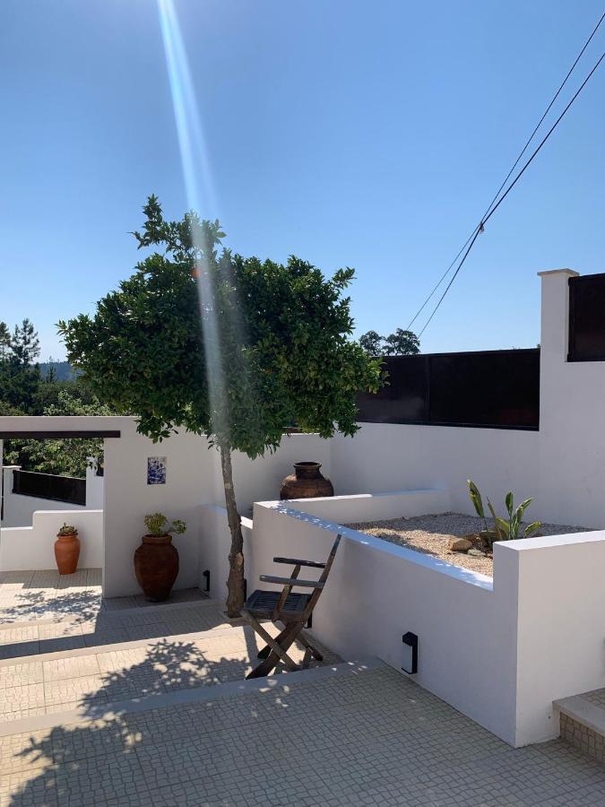 Casa Da Oliveira Bed & Breakfast Pedrogao Grande Exterior photo