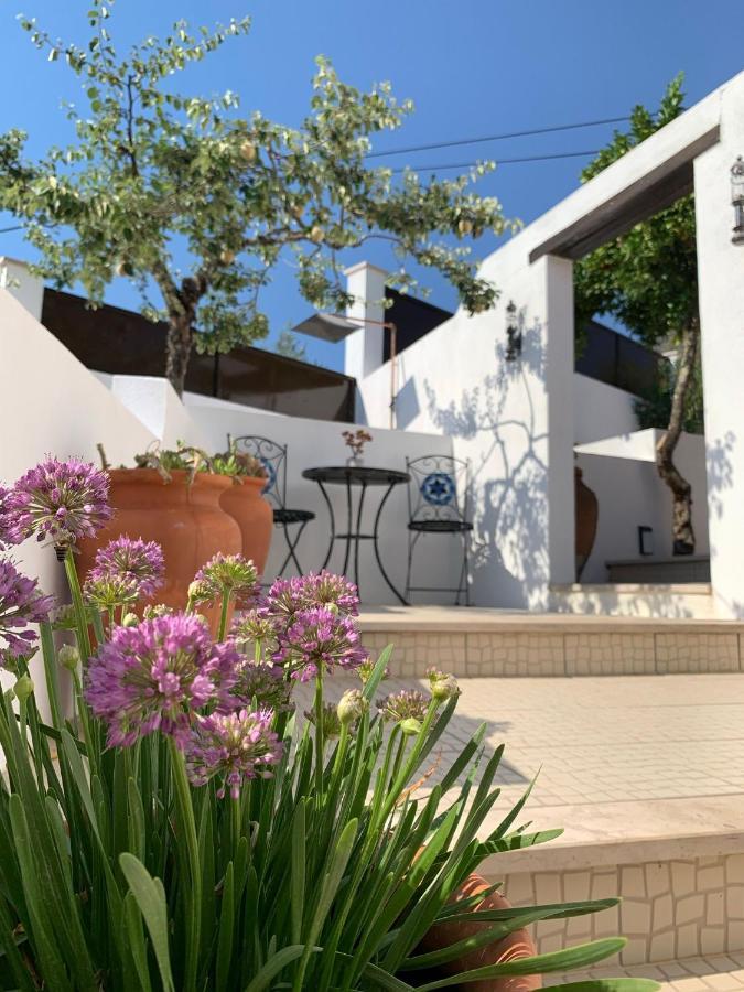 Casa Da Oliveira Bed & Breakfast Pedrogao Grande Exterior photo