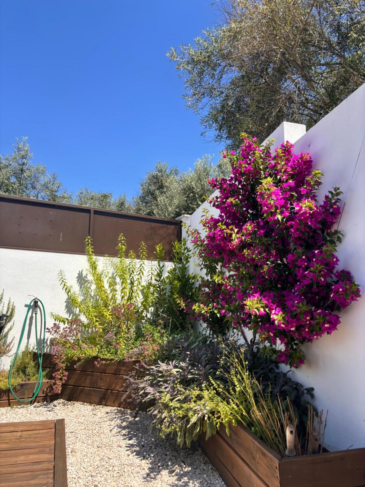 Casa Da Oliveira Bed & Breakfast Pedrogao Grande Exterior photo