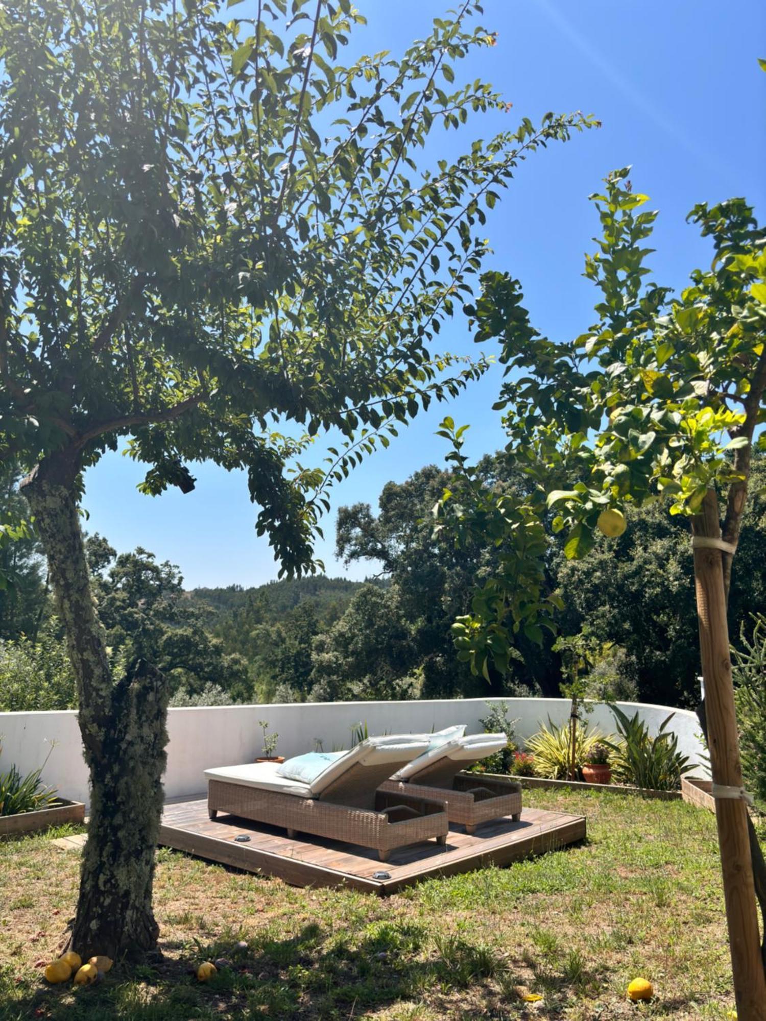 Casa Da Oliveira Bed & Breakfast Pedrogao Grande Exterior photo