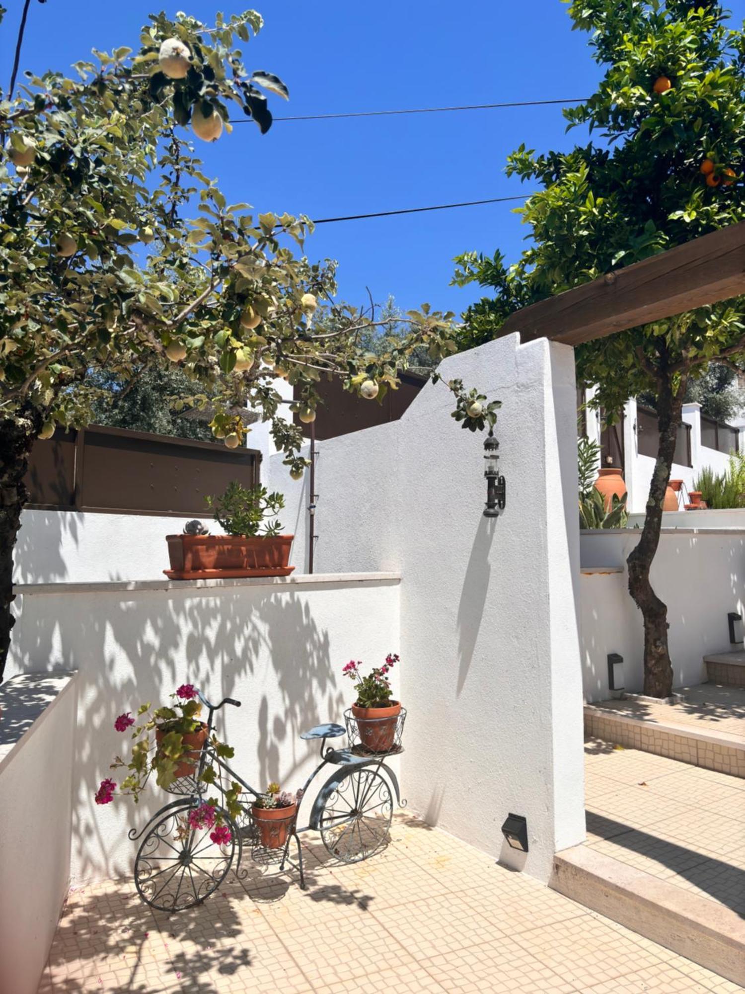 Casa Da Oliveira Bed & Breakfast Pedrogao Grande Exterior photo